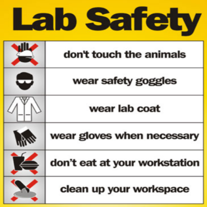 Science Lab Safety Poster Roblox decal