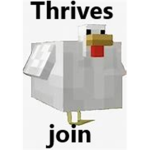 -Thrivez's group-