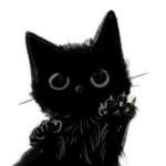 Midnights Kittens
