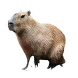 Survive Capybara The Killer