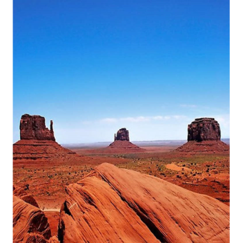 the fall of the bacons