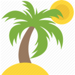 Paradiise Clothing