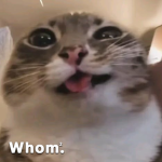 Whom The Second.
