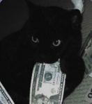 Der's little cats