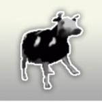 Cow town’s