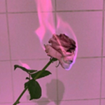 s o f t t e a r s
