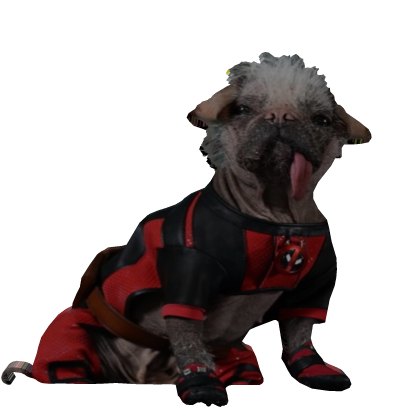Dogpool thumbnail