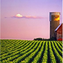 THE HARVEST FESTIVAL