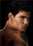 New Moon Wolves