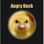 Angry duckz
