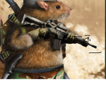 The rat Academy
