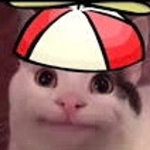 BelugaBestCat