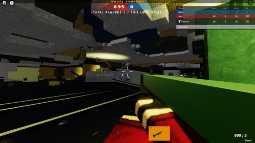 VOXEL COMPANY 