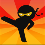 The fighter Ninjas!