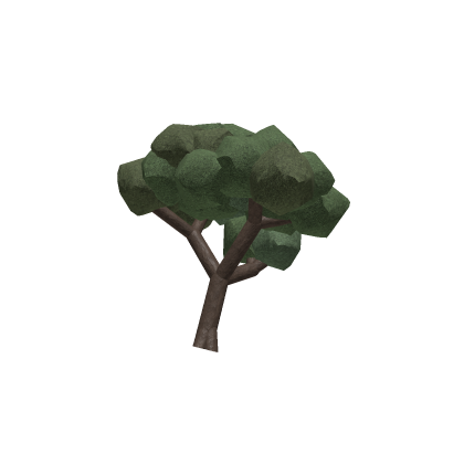 Tree old
