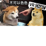 狗的孩子