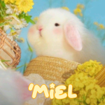 ‘Miel