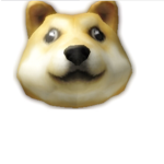 The Domestic Doges