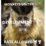 Monkeys United (Rats Allowed) Development!