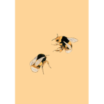*The Beez Squad*