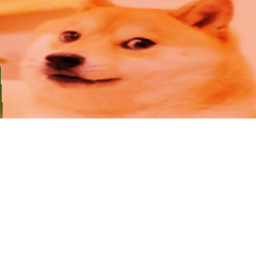 Survival the Non-SUSSY DOG the killer