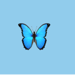 Butterfly squad for ever