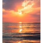 SunSetPlayzRoblox