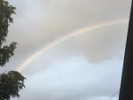 -the RAINBOWS-