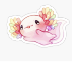 *+* Axolotl Fan Club*+*