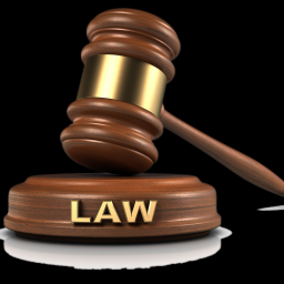 Court of Dev Network icon