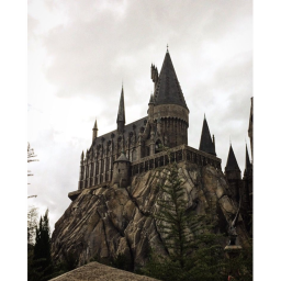 Harry Potter home store!