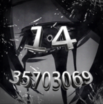 14 fg