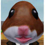 Hamstar god