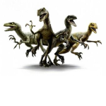 The Rapter Pack