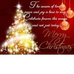 Christmas wish