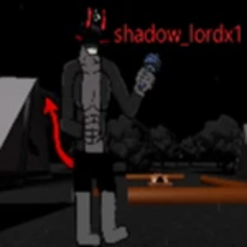 the shadow world