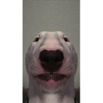Walter is the best