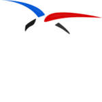 The M.O.U.S.E Air Force