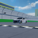 nascar fans group