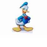 Donald Duck Group!!!