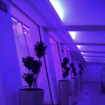 Calm Designs