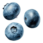 Blueberry_Squad!
