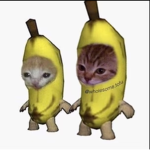Cats United’s