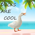 Group of the Duck