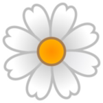 WhiteDaisy