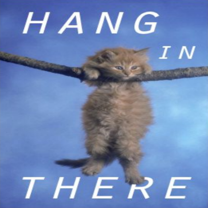 Hang In There cat poster Roblox decal