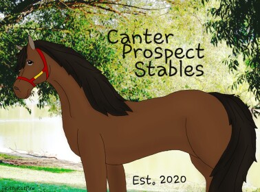 [V3 - WIP] Canter Prospect Stables