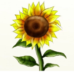 Sunflower’s peeps