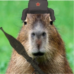 Capibara sovietica