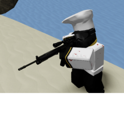 Combat training